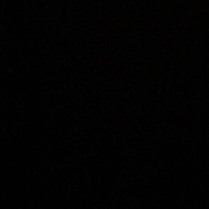 Meet your Posher, Tonisha